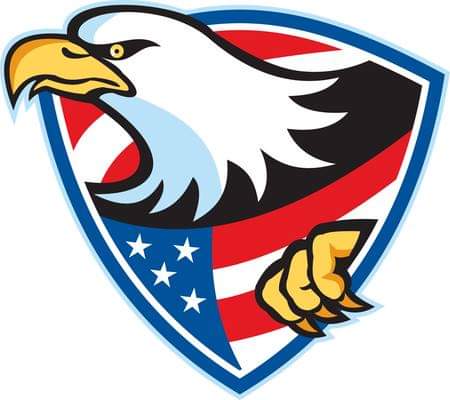 eagleinashield